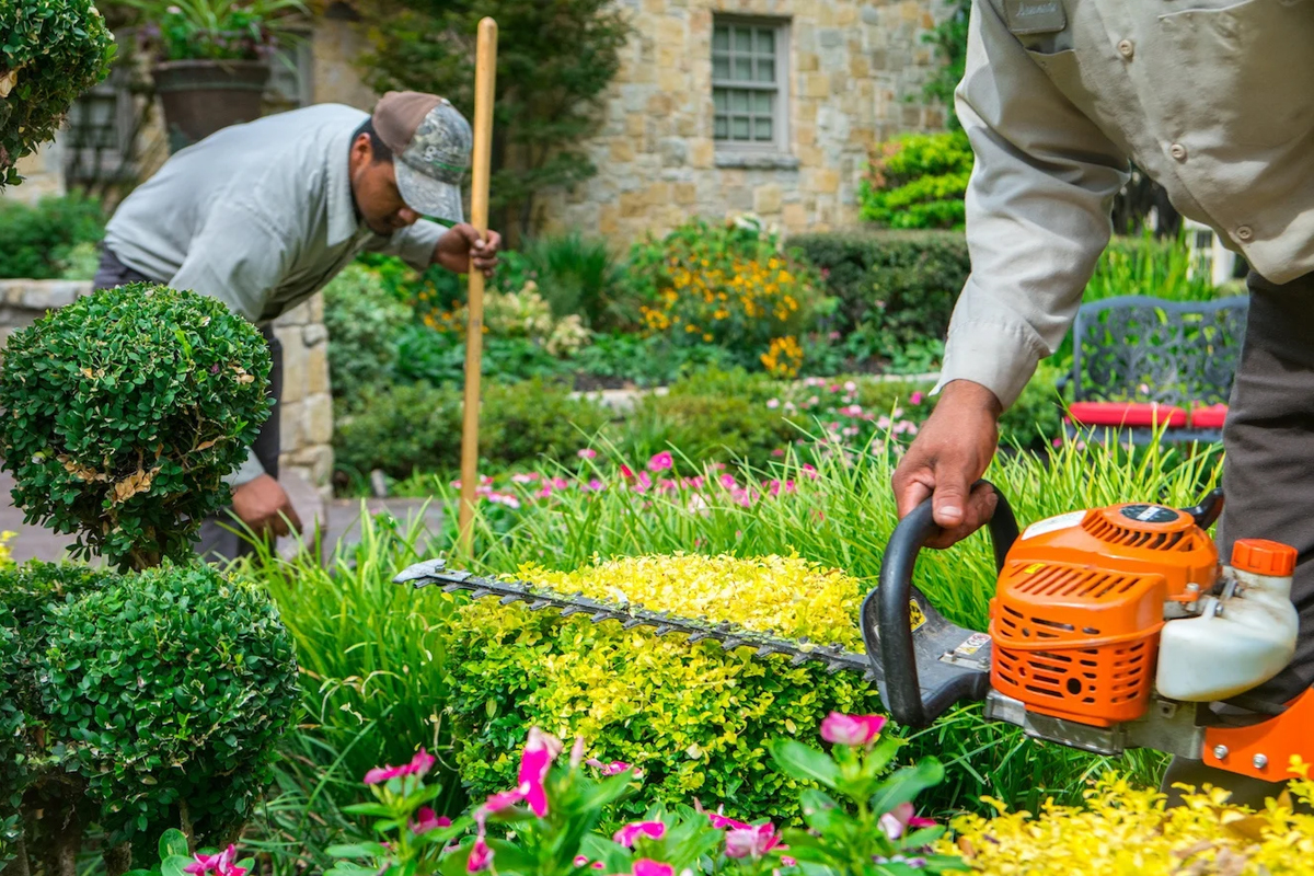 Gardening & Landscape Maintenance